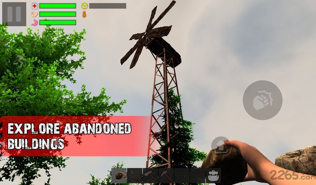 幸存者遗忘的森林中文版