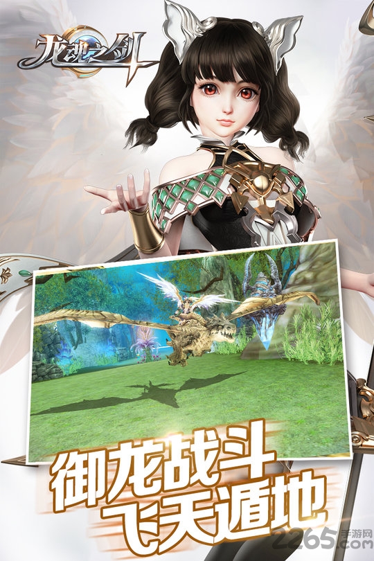 龙魂之剑小米端