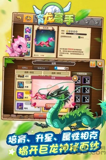 育龙高手九游版