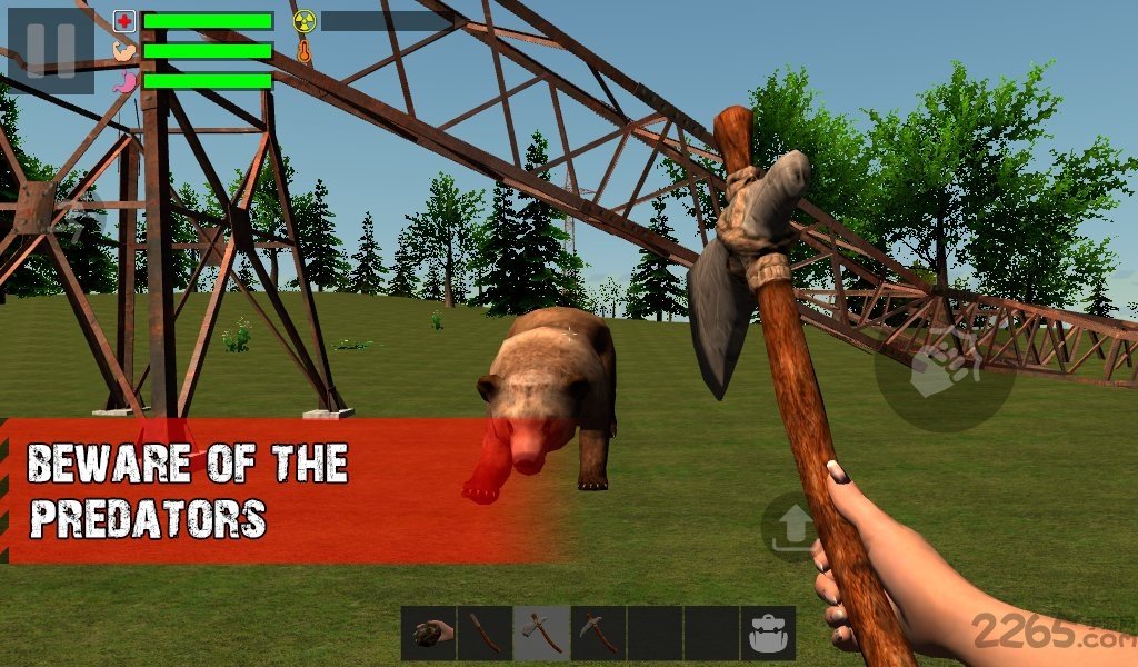 幸存者遗忘的森林中文版