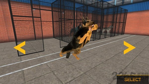 三角洲部队突击队中文版