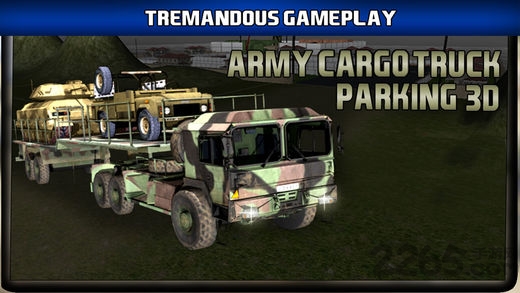 军用卡车检查站