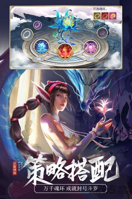 斗罗大陆极光网络官方版