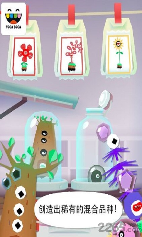 托卡实验室植物中文版