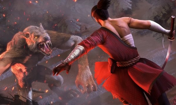 忍者武士官方版