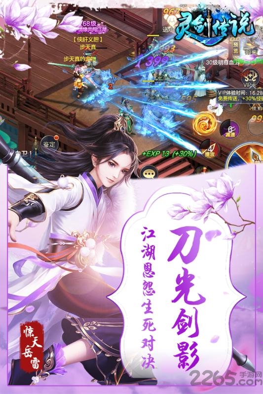 灵剑传说手游果盘版