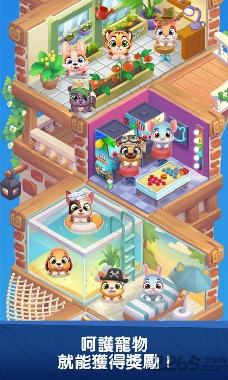 宠物益智传奇手游
