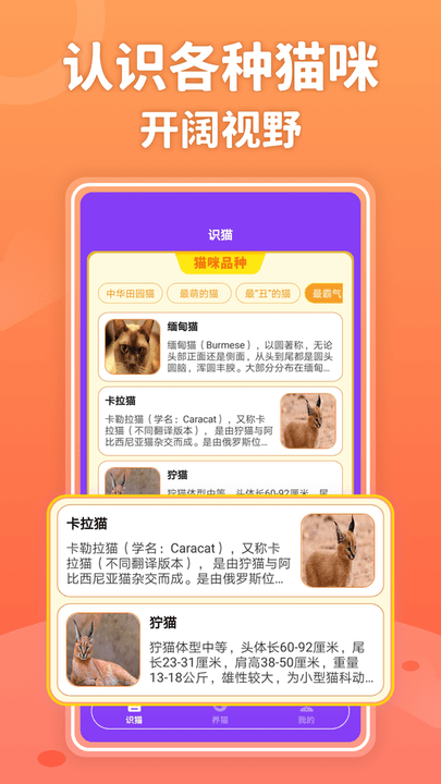 嗨猫猫手机版 嗨猫猫app下载