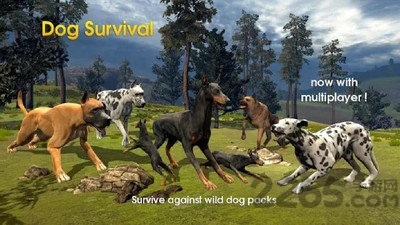 终极野狗模拟器变态版