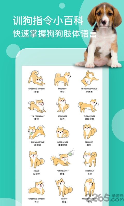 铲屎官翻译器手机版