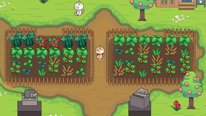 猫猫森林历险官方版