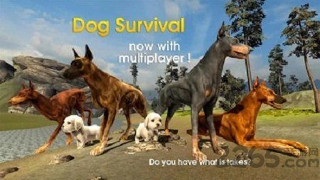 终极野狗模拟器破解版2020 终极野狗模拟器无限金币版下载