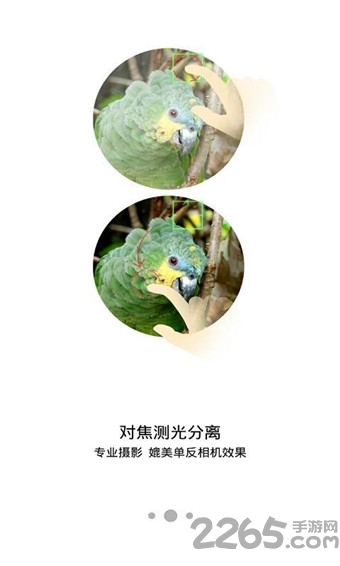 努比亚相机APK最新提取 努比亚相机移植版下载